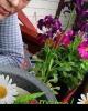 Gloria is single in Rochester, WA USA