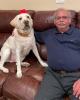 Arun is single in South Plainfield, NJ USA