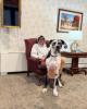 John is single in Bellefonte, PA USA