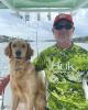 Stephen is single in Lovettsville, VA USA
