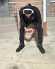Thomas is single in Clover, SC USA