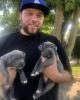 Michael is single in Fresno, CA USA