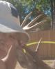 John is single in Conway, AR USA