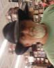 Richard is single in Monticello, GA USA