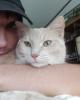 Cody is single in Independence, LA USA