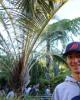 David is single in Boucherville, QC CAN