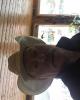 Larry is single in Molalla, OR USA