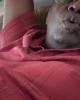 Aldo is single in Alva, FL USA