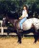 Kendra is single in York Springs, PA USA