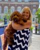Debbie is single in Fall River, MA USA