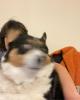 Sam is single in Philadelphia, PA USA
