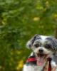 Callie is single in Omaha, NE USA