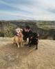 Taylor is single in Edina, MN USA
