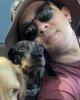 Ray is single in Ventura, CA USA