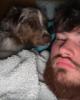 Alex is single in Saint-Hyacinthe, QC CAN