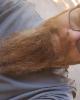 Brent is single in Rome, GA USA