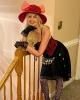 Judy is single in Lineboro, MD USA