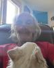 Darrell is single in Rochester, MN USA