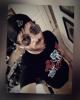 Josh is single in Bentonville, AR USA