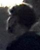 Lukas is single in Newbury Park, CA USA