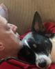 Peter is single in Middleburgh, NY USA