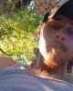 Collin is single in Williamsburg, OH USA