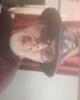 Bruce is single in Port Jervis, NY USA