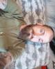 Layne is single in Maynardville, TN USA