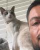 Salvador is single in San Diego, CA USA