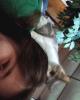 Layla is single in East Peoria, IL USA