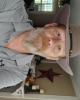 Tim is single in Kershaw, SC USA