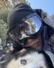 Dockarna is single in Big Bear Lake, CA USA