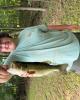 Chase is single in Liberty, NC USA