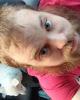 Ralph is single in Sharon Hill, PA USA