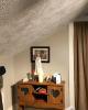 Zdog is single in Franklin, PA USA