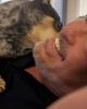 AlmostHandsome is single in Lake Arrowhead, CA USA