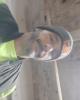 Damien is single in Pennsauken, NJ USA