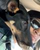 Diego is single in Hayward, CA USA