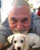 Daniel is single in Atherton, CA USA
