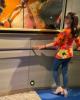 Ling is single in Laguna Niguel, CA USA