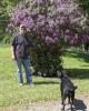 Stephen is single in Du Bois, PA USA