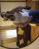 Alex is single in San Luis, AZ USA