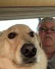 retiredhdrider is single in Webster, FL USA