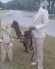 Martin is single in Cedar Hill, TX USA
