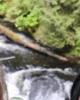 Ema is single in Ketchikan, AK USA