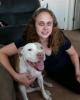 Tabitha is single in Brighton, CO USA
