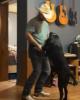 Woody is single in Bellevue, TN USA