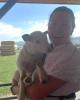 Brynlee is single in Hyde Park, UT USA