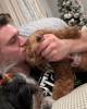 Zach is single in North Attleboro, MA USA