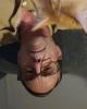 James is single in Sierra Vista, AZ USA